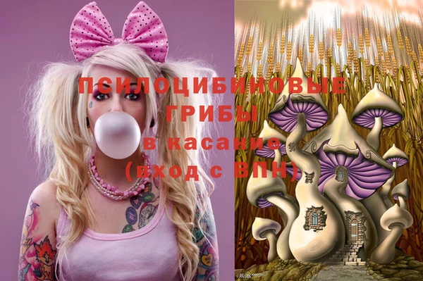 мдпв Липки