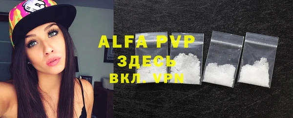 индика Ивангород